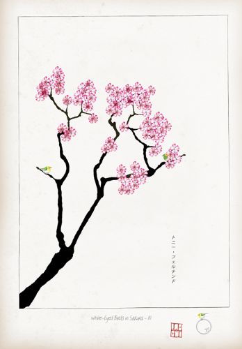 III - White Eyed Birds in Sakura by Tony Fernandes